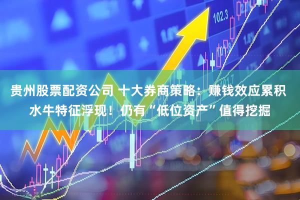 贵州股票配资公司 十大券商策略：赚钱效应累积 水牛特征浮现！仍有“低位资产”值得挖掘