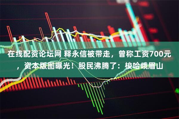 在线配资论坛网 释永信被带走，曾称工资700元，资本版图曝光！股民沸腾了：梭哈峨眉山